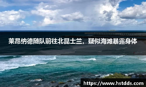 南宫NG·28